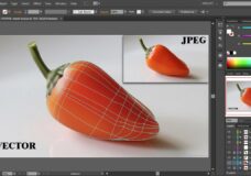 Mastering Mesh: A Comprehensive Guide to Using the Mesh Tool in Adobe Illustrator